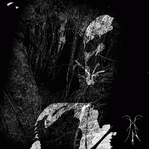 Mystère Nordique : Nuit Noire